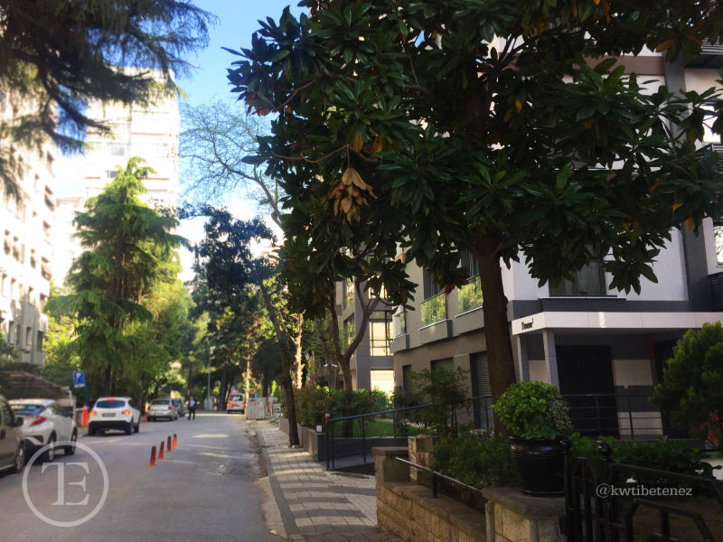 Erenköy Bağdat Caddesi