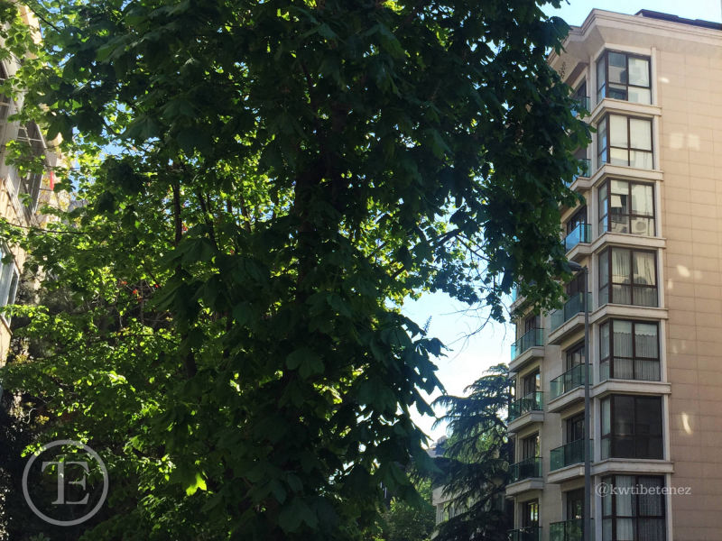 Erenköy Bağdat Caddesi