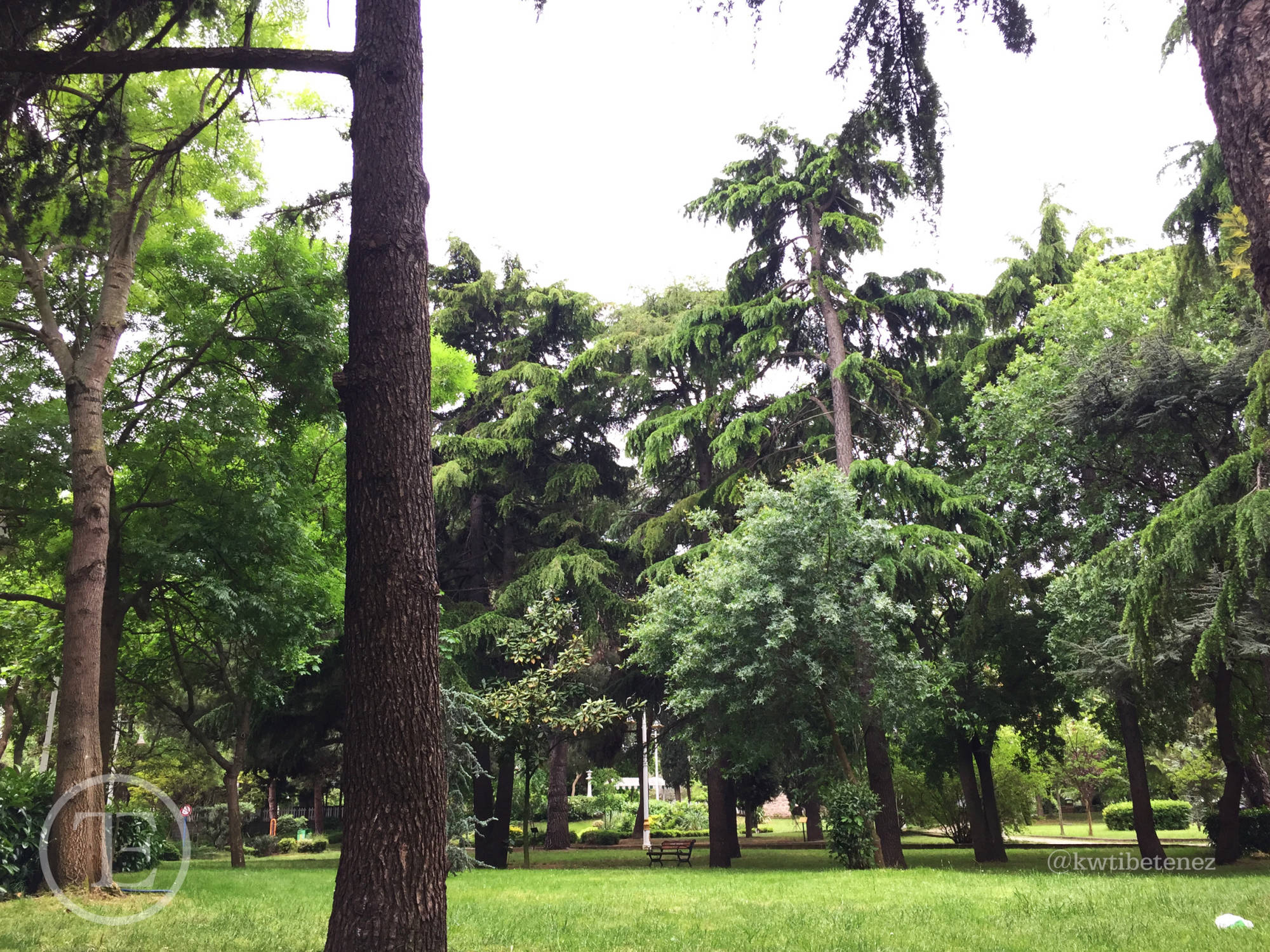 Fenerbahçe Kalamış