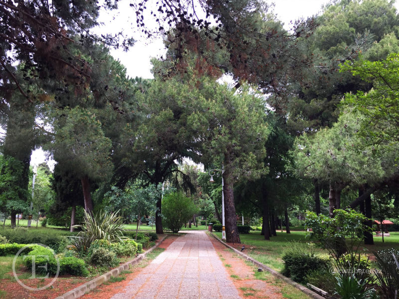 Fenerbahçe Kalamış