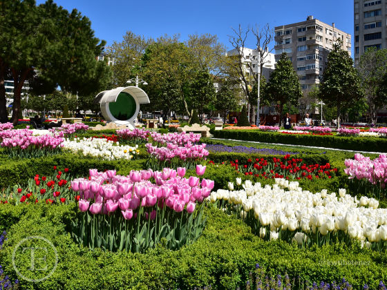 Göztepe Bağdat Caddesi