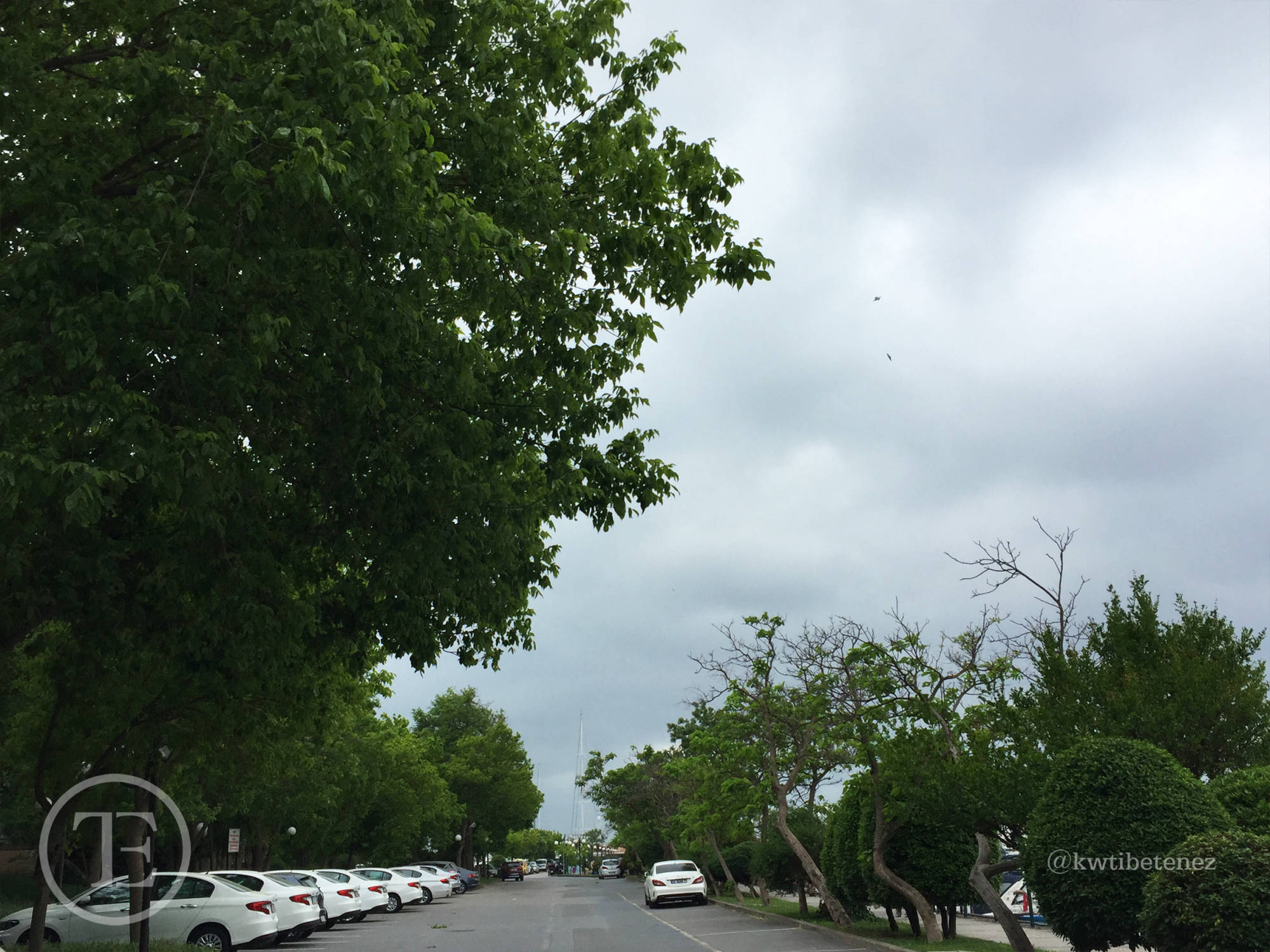 Fenerbahçe Kalamış