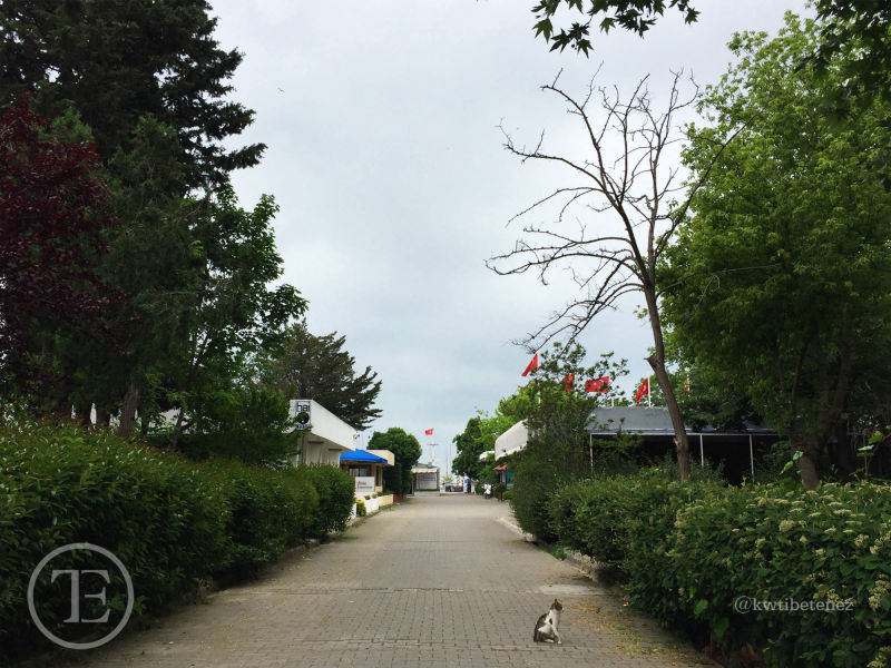 Fenerbahçe Kalamış