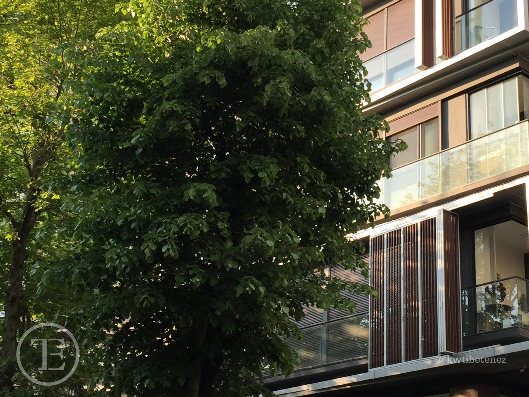 Şaşkınbakkal Bağdat Caddesi