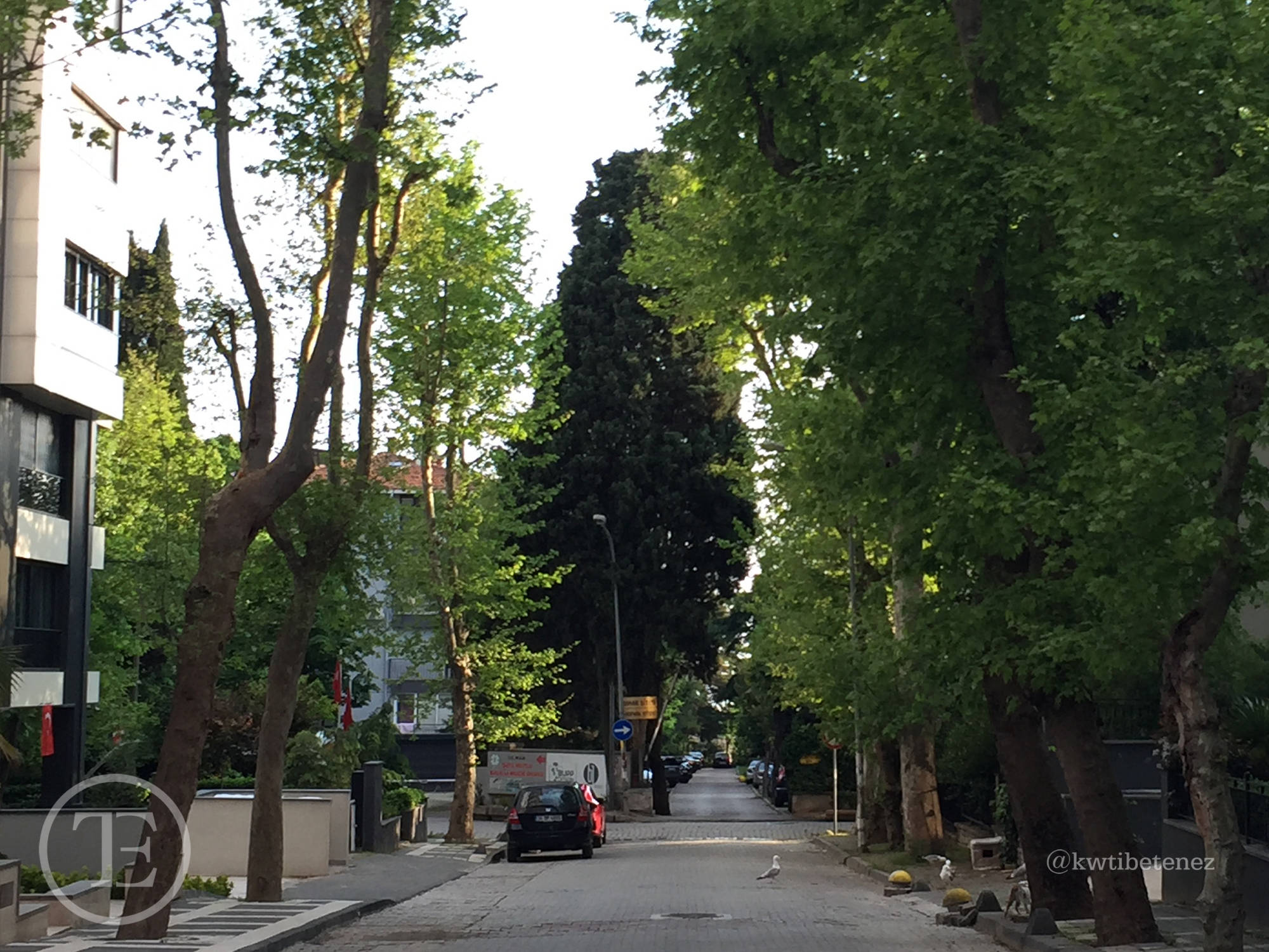Şaşkınbakkal Bağdat Caddesi